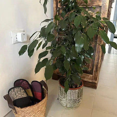La Casa Nel Balon * Turín